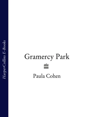 Paula Cohen Gramercy Park обложка книги