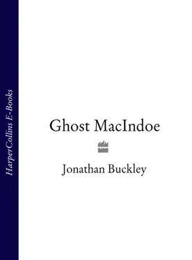 Jonathan Buckley Ghost MacIndoe обложка книги