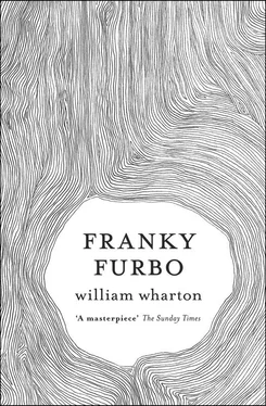 William Wharton Franky Furbo обложка книги