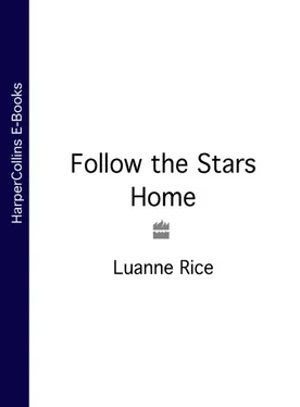 Luanne Rice Follow the Stars Home обложка книги