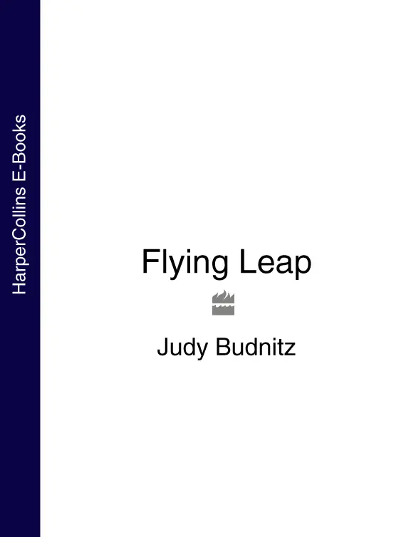 Flying Leap - изображение 1