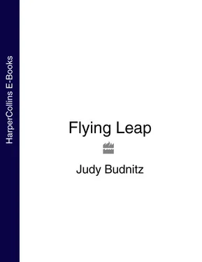 Judy Budnitz Flying Leap обложка книги