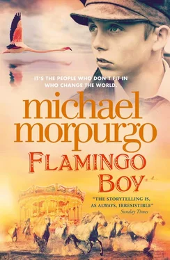 Michael Morpurgo Flamingo Boy обложка книги