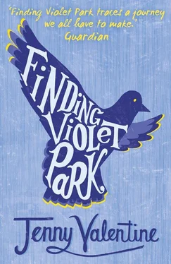 Jenny Valentine Finding Violet Park обложка книги