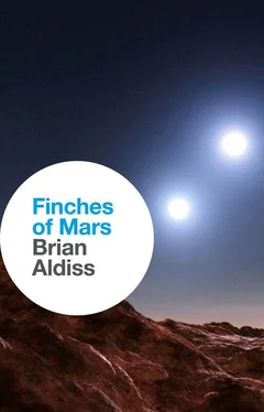 Brian Aldiss Finches of Mars обложка книги