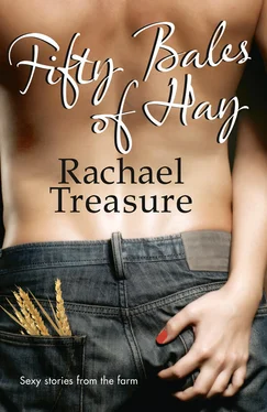 Rachael Treasure Fifty Bales of Hay обложка книги