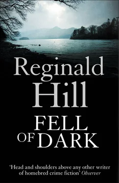 Reginald Hill Fell of Dark обложка книги