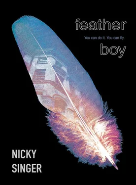 Nicky Singer Feather Boy обложка книги