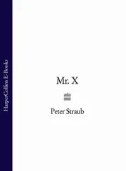 Peter Straub - Mr. X