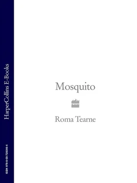 Roma Tearne Mosquito обложка книги