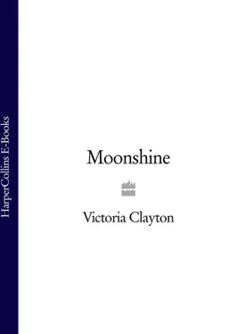 Victoria Clayton Moonshine обложка книги