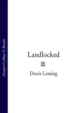 Doris Lessing Landlocked обложка книги