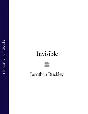 Jonathan Buckley Invisible обложка книги
