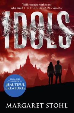 Margaret Stohl Idols обложка книги