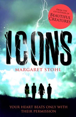 Margaret Stohl Icons обложка книги