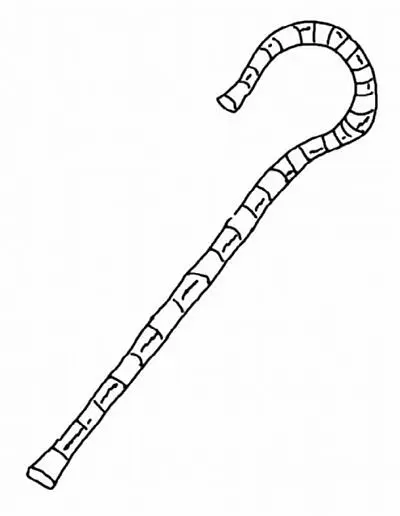 Он взял в руки предмет похожий на маленький жезл с загнутой крючком рукоятью - фото 11