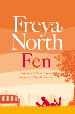 Freya North Fen обложка книги