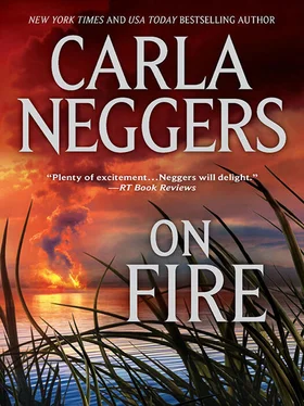 Carla Neggers On Fire обложка книги