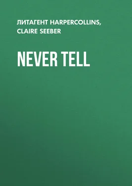 Claire Seeber Never Tell обложка книги