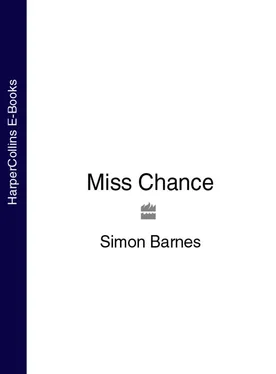 Simon Barnes Miss Chance обложка книги