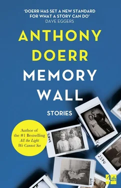 Anthony Doerr Memory Wall обложка книги