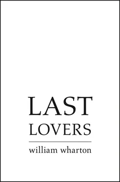 William Wharton Last Lovers обложка книги
