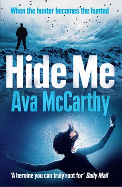 Ava McCarthy Hide Me обложка книги