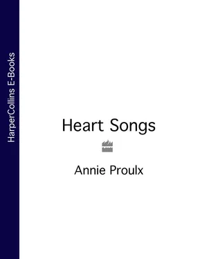 Annie Proulx Heart Songs обложка книги