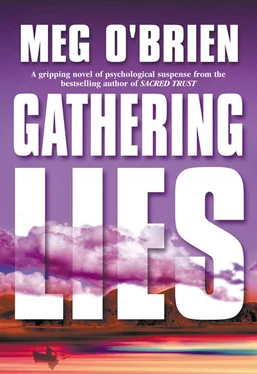 Meg O'Brien Gathering Lies обложка книги