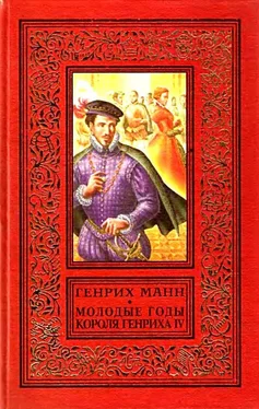 Генрих Манн Молодые годы короля Генриха IV обложка книги