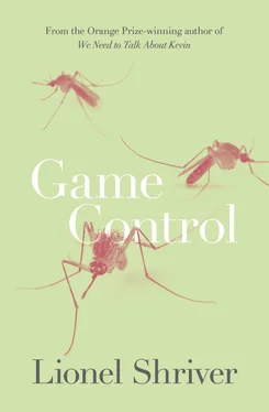 Lionel Shriver Game Control обложка книги