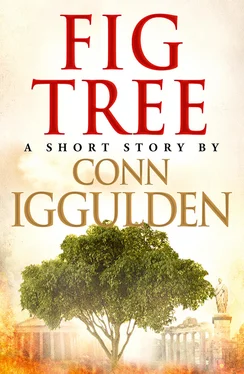 Conn Iggulden Fig Tree обложка книги