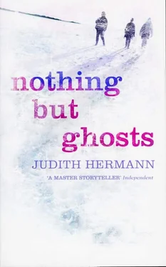 Judith Hermann Nothing but Ghosts обложка книги