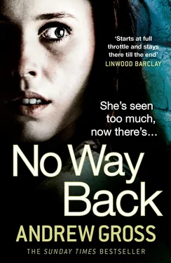 Andrew Gross No Way Back обложка книги