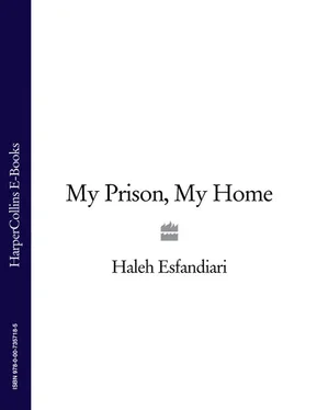 Haleh Esfandiari My Prison, My Home обложка книги