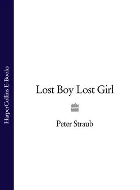 Peter Straub Lost Boy Lost Girl обложка книги