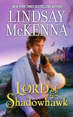 Lindsay McKenna Lord Of Shadowhawk обложка книги