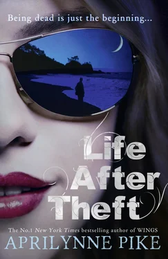 Aprilynne Pike Life After Theft обложка книги