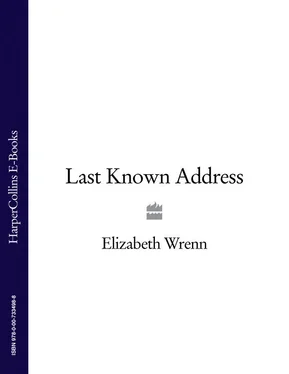 Elizabeth Wrenn Last Known Address обложка книги