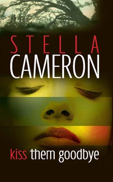 Stella Cameron Kiss Them Goodbye обложка книги