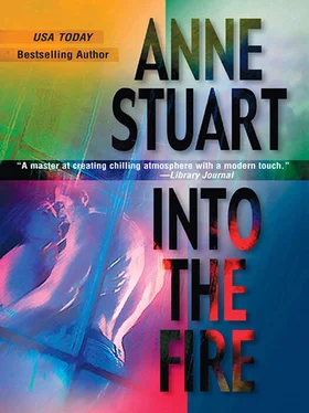 Anne Stuart Into The Fire обложка книги
