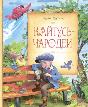 Януш Корчак Кайтусь-чародей обложка книги