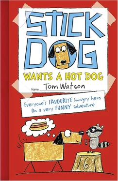 Tom Watson Stick Dog Wants a Hot Dog обложка книги