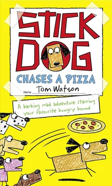 Tom Watson Stick Dog Chases a Pizza обложка книги