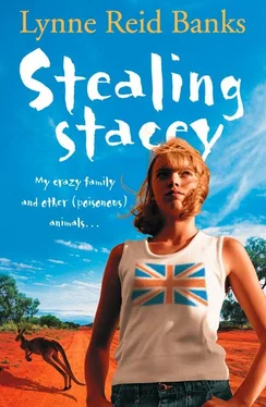 Lynne Banks Stealing Stacey обложка книги