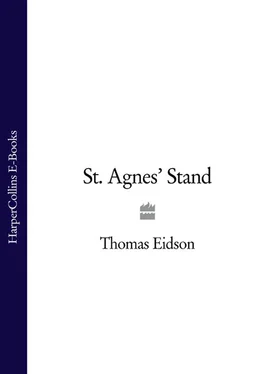 Thomas Eidson St. Agnes’ Stand обложка книги