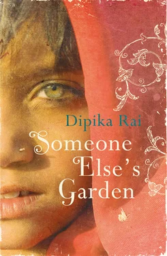 Dipika Rai Someone Else’s Garden обложка книги
