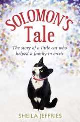 Sheila Jeffries - Solomon’s Tale