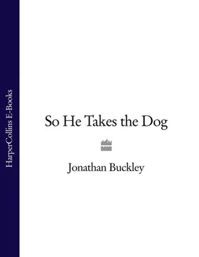 Jonathan Buckley So He Takes the Dog обложка книги