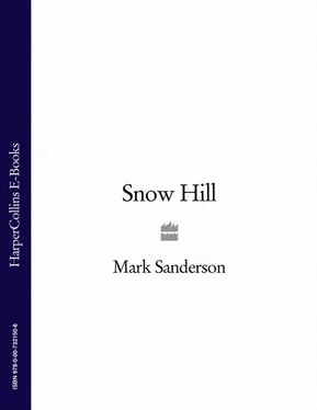 Mark Sanderson Snow Hill обложка книги